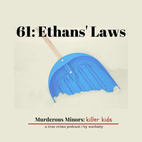 61: Ethans' Laws (Damian Hauschultz - Ethan Song)