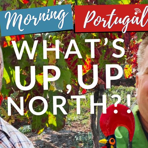 What's Up? Up North with João Do Norte & The Man in The Minho