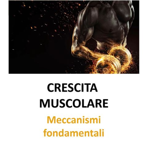 Crescita muscolare: meccanismi fondamentali