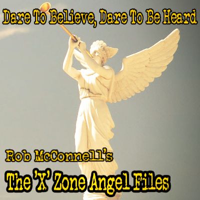XZRS: Taryn Crimi - The Angelic Guides