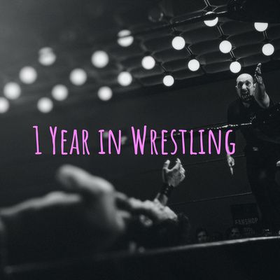 The Wrestling Year in Review