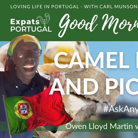 Camel Drool and Pica Pau Cooking Demo' & Ask Anything about Portugal with Owen Lloyd-Martin