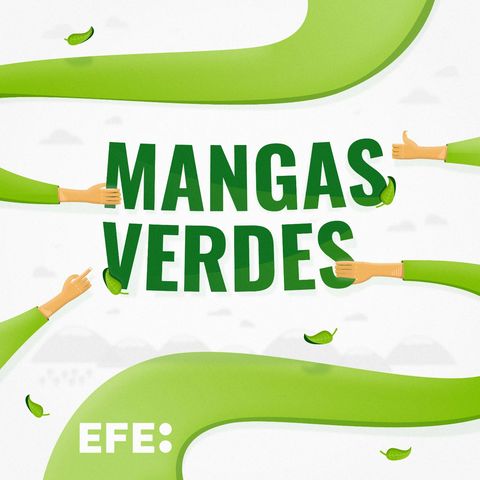 Mangas Verdes |Residuos y Congreso Forestal Español