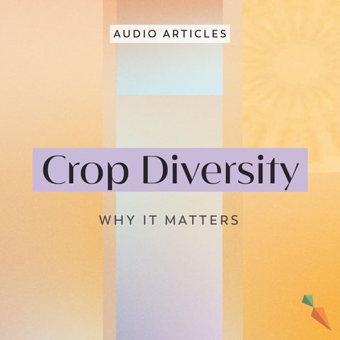 Crop Diversity: Why It Matters | FoodUnfolded AudioArticle