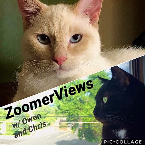 ZoomerViews Ep 20.)- We're back bitches/ Nike slips