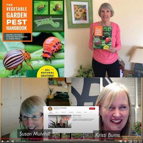 Susan Mulvihill chats about gardening & "The Vegetable Garden Pest Handbook"