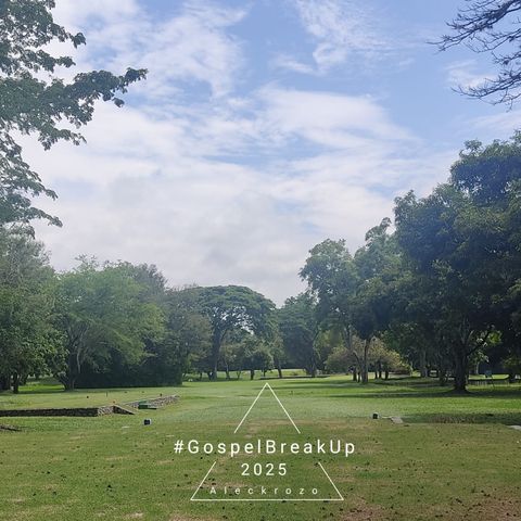 2025 Sin morir en el intento