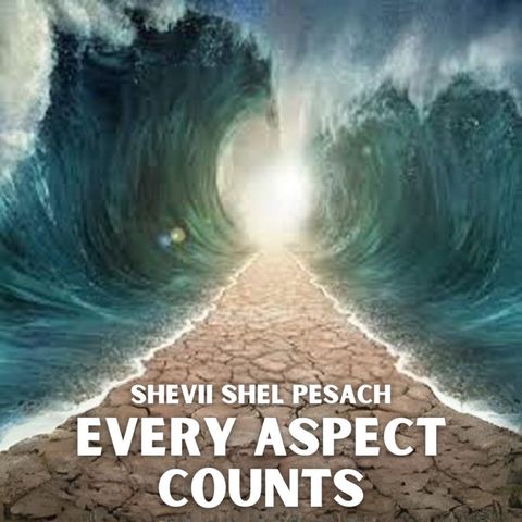 Shevii Shel Pesach - Every Aspect Counts