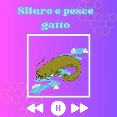 Il siluro e il pescegatto