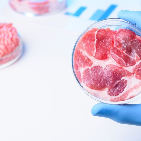 Carne artificial: ¿Alimento del futuro?