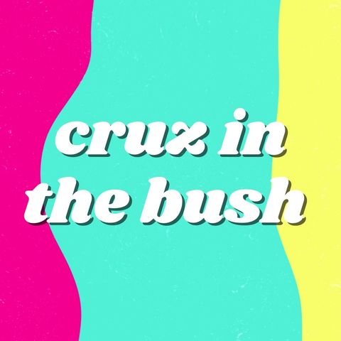 S2 - Episodio 3: CRUZ IN THE BUSH