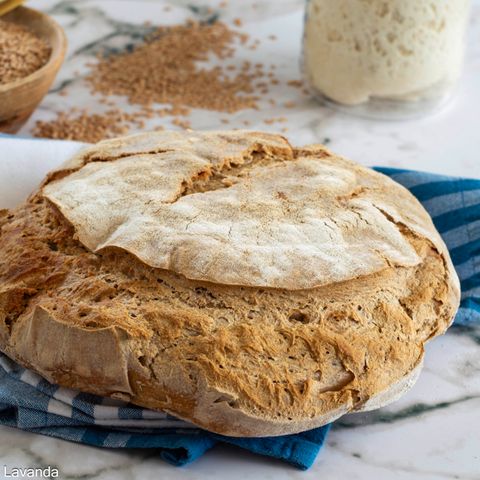 Pane di monococco
