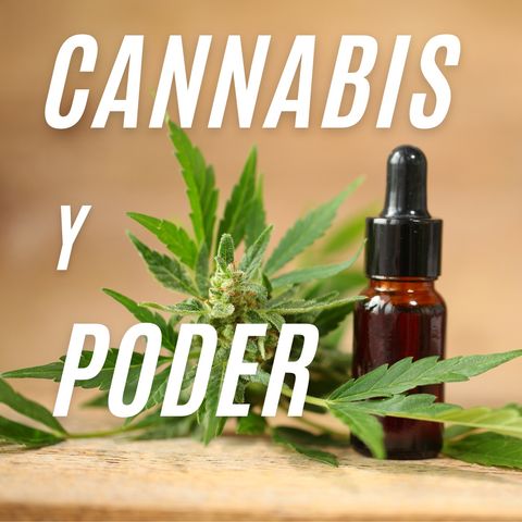 Marihuana y Poder Economico