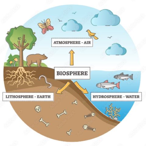 l'idrosfera