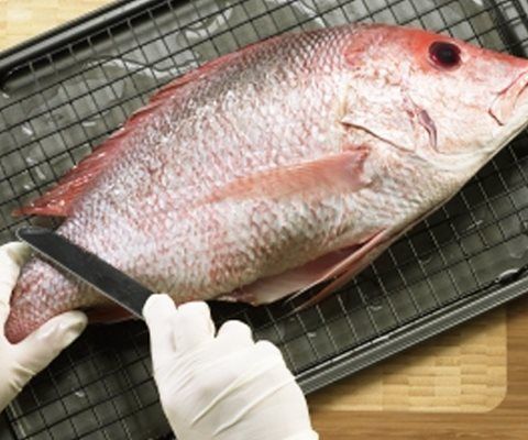 Mơ Thấy Làm Thịt Cá – Giải Mã Giấc Mơ và Ý Nghĩa Tâm Linh