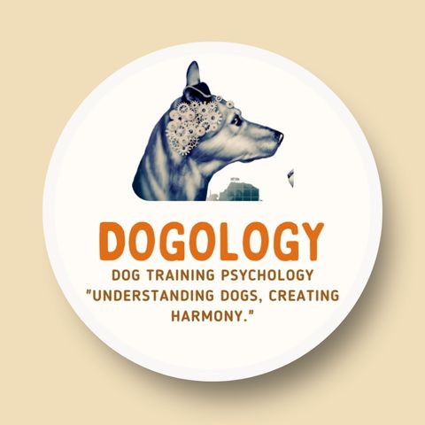 WE CHAT WITH DAVID OF THE DAVID THE DOG TRAINER PODCAST ON DOG BEHAVIOR