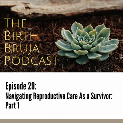 Ep. 29 | Navigating Reproductive Care as a Survivor: Part 1