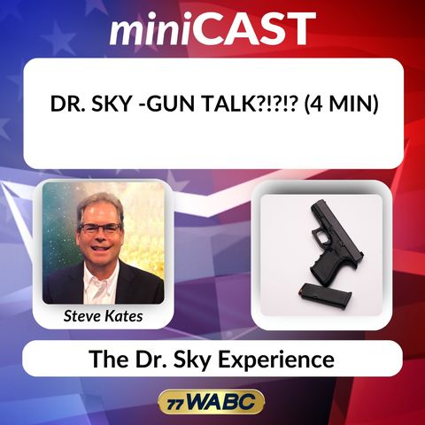 Dr. Sky - Gun Talk