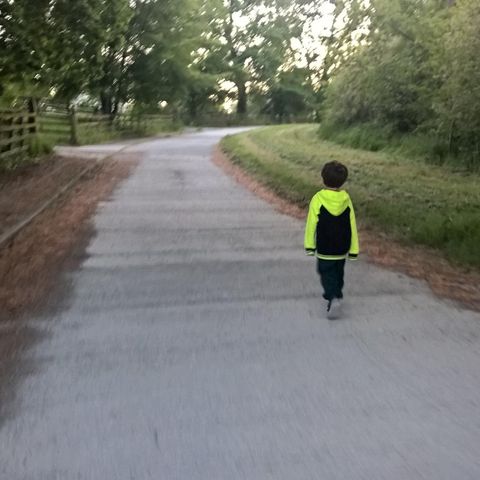 Walking Knocklofty with Dylan (4) #audiomo