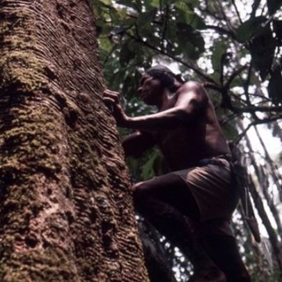 09 Audio description of the photograph Cutting the rubber tree - Yawanawá People