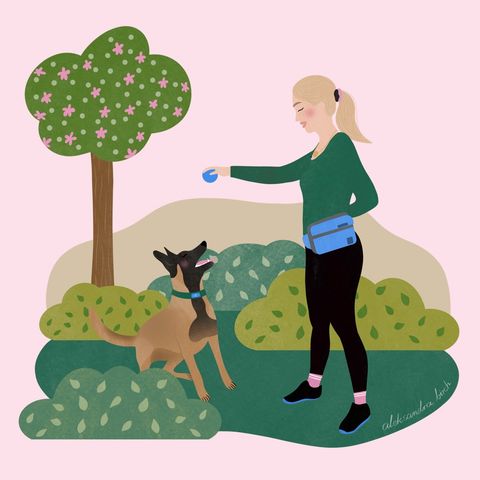 Zabierz psa na spacer i buduj z nim zdrową więź