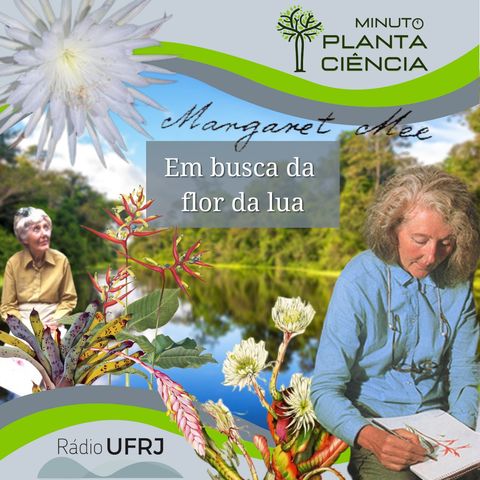 Minuto PlantaCiência - Ep. 19 - Em busca da flor da lua (Rádio UFRJ)