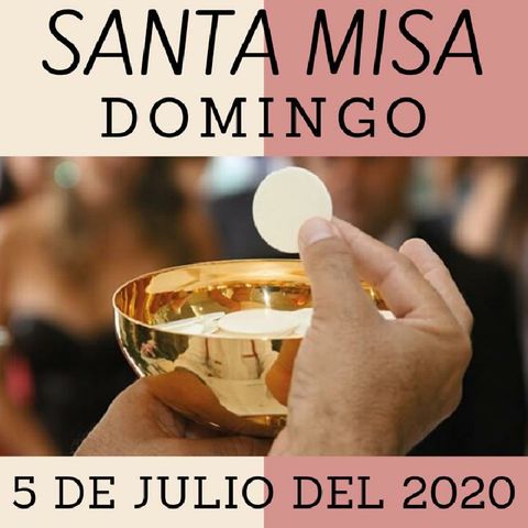 Homilía 5 Julio 2020 El gran descubrimiento: Cómo llega uno al Evangelio