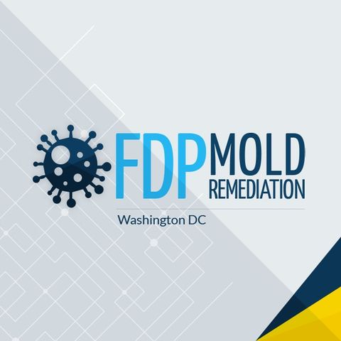 FDP Mold Remediation services in Washington, DC