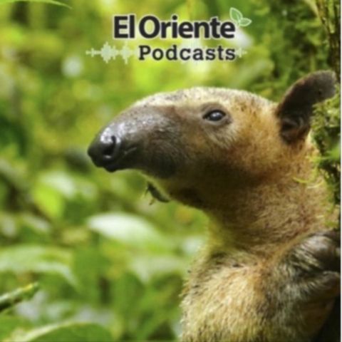 Episodio 10 - Entrevista con la Ing. Zambrano