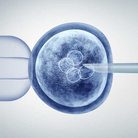 Editing Human Embryos