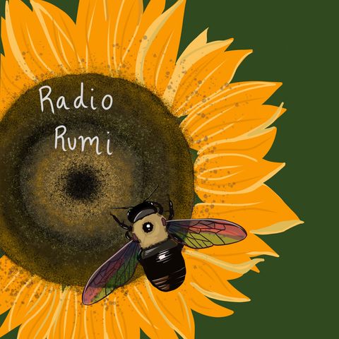 Radio Rumi Program 31: Without Your 'Self' You'll See better Where you are Going!