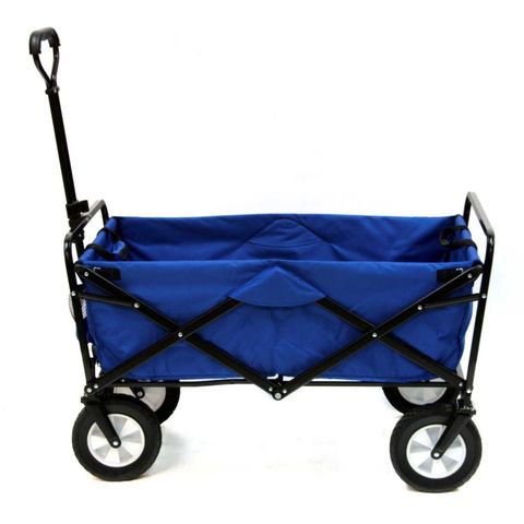 Most Popular Types of Beach Carts