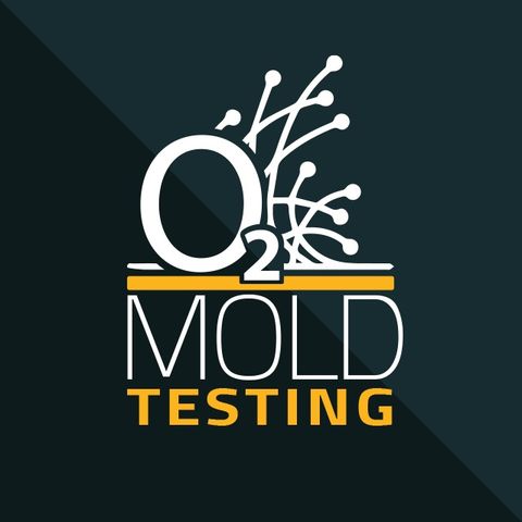 Mold Inspection & Testing in Washington, DC