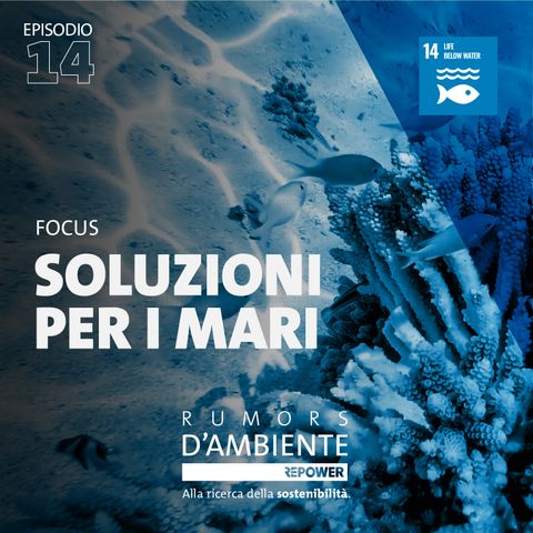 Focus – Soluzioni per i mari