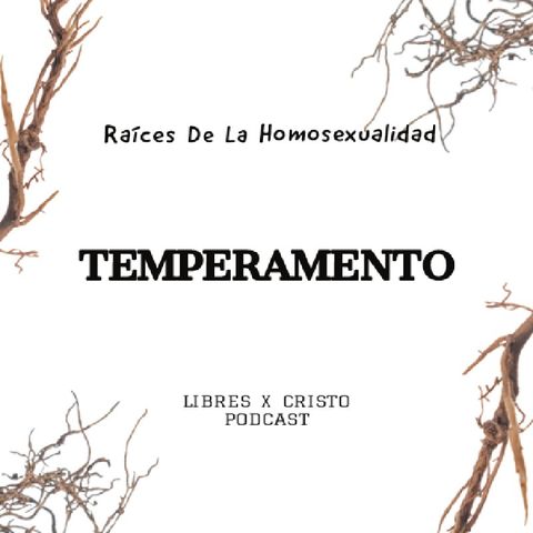 2x1 TEMPERAMENTO .mp3