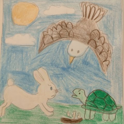 La povera tartaruga - Alessia, Priscilla, Rodolfo, 1B Scuola sec. I grado "Manzoni" Udine (libro "Cosa saremo poi", Luisa Mattia)