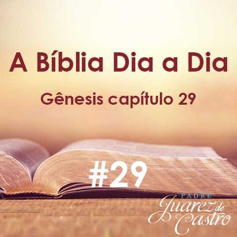 Curso Bíblico 29 - Gênesis Capítulo 29 - Jacó e Raquel, os filhos de Jacó - Padre Juarez de Castro