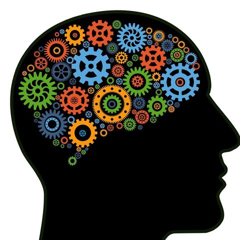 279… I 6 consigli scientifici per mantenere il "cervello in forma”...