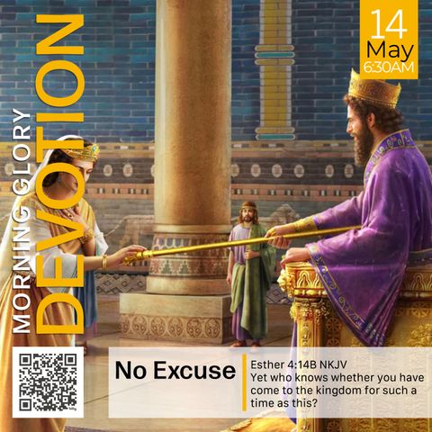 MGD: No Excuse