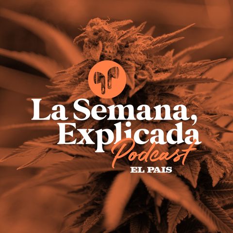 LSE: a 10 años de la regularización del mercado del cannabis en Uruguay