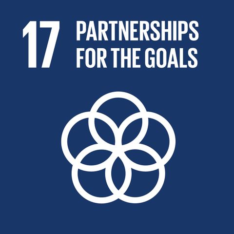 Obiettivo 17 Agenda ONU 2030: partnership per gli obiettivi