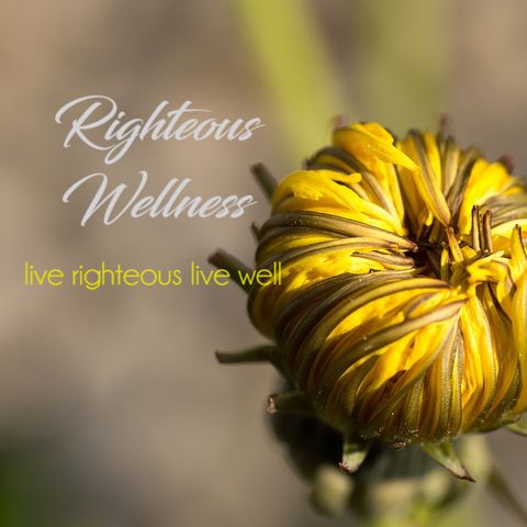 Righteous Wellness E6 Mind Transformation
