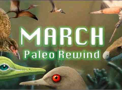 PaleoRewind March 2020 - Dinosaurs_ Controversy and Bilaterians