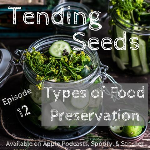 Ep 12 - Types of Food Preservation
