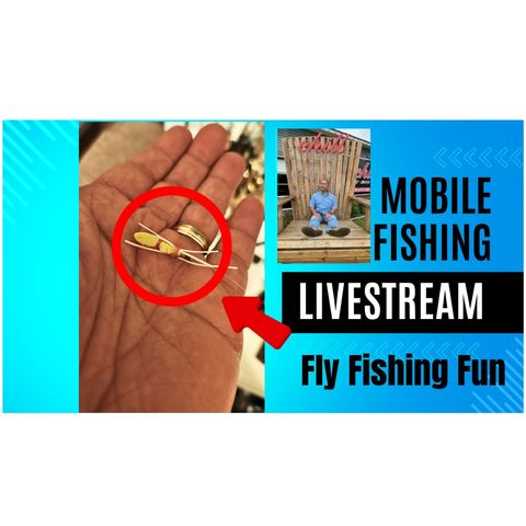 Pond Fly Fishing - Mobile Fishing Livestream 04 (Audio Podcast)