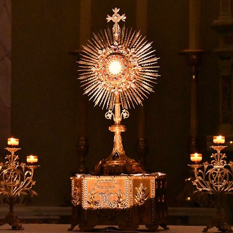 Reflection 350- Beauty in Adoration