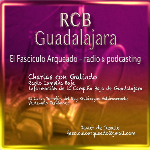 Charlas con Galindo de Torrejón del Rey (Guadalajara)