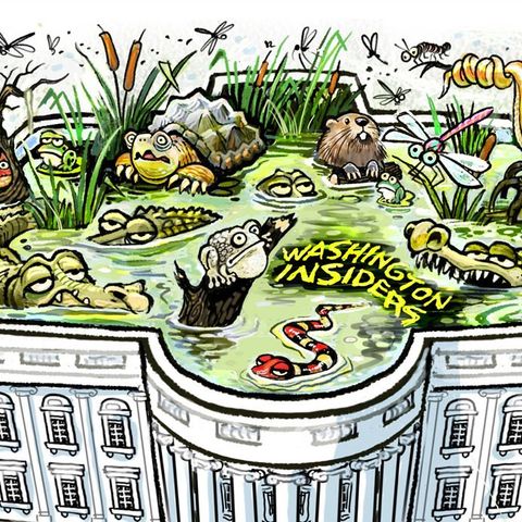 How to DRAIN "the SWAMP"