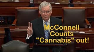 Mitch McConnell bashes Democrats over cannabis extras in Covid relief laws; Weed Talk News 5-15-20