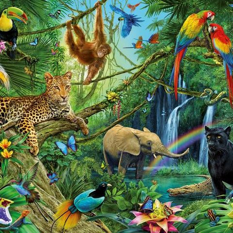 Trip con mezzeidee